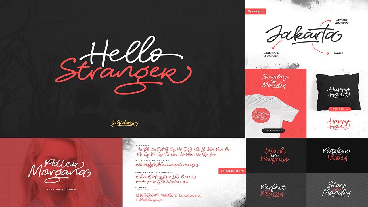 Elegant Timeless Bundle Font