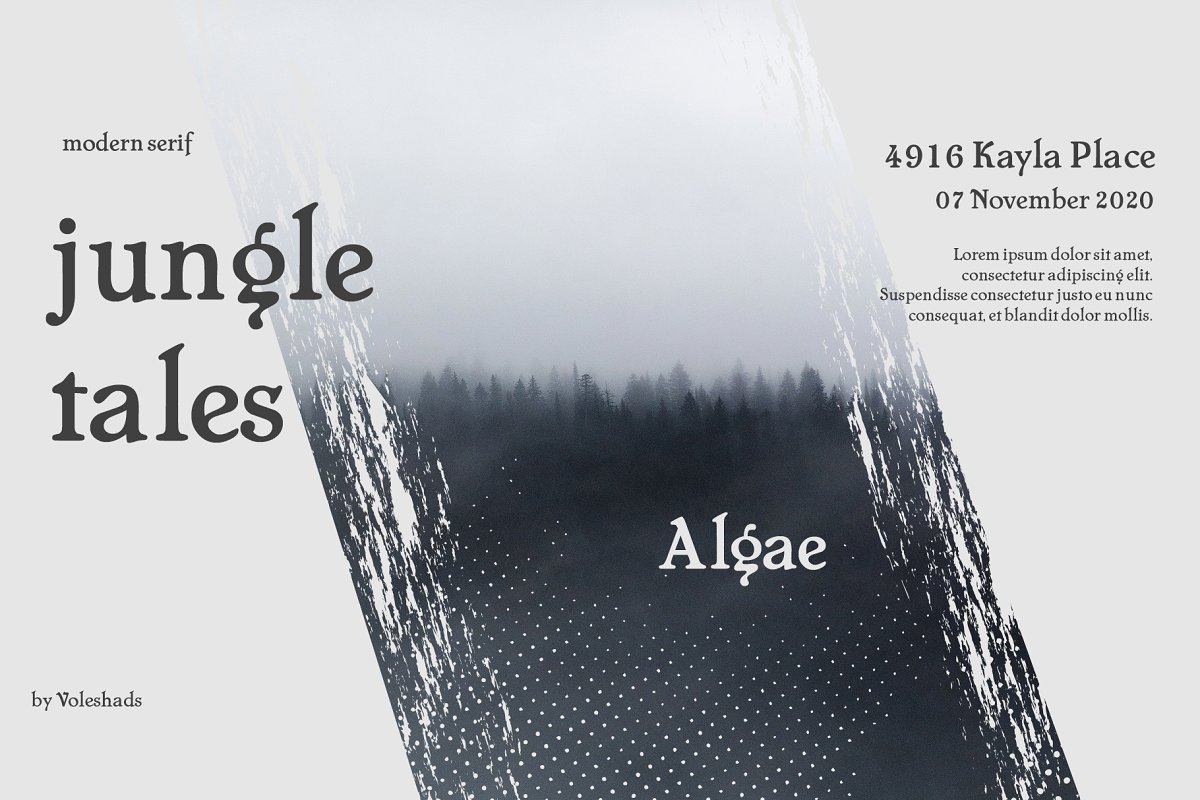 Algae Modern Serif Font Free Download