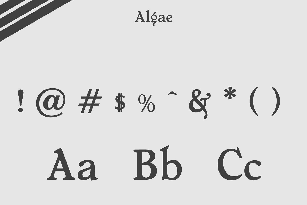 Algae Modern Serif Font Free Download