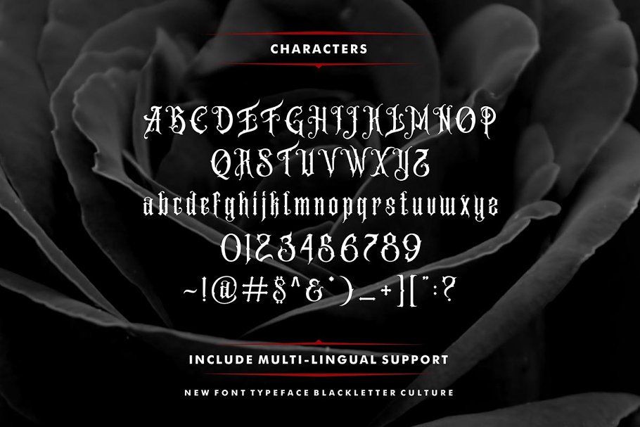 Amstrong Typeface Font
