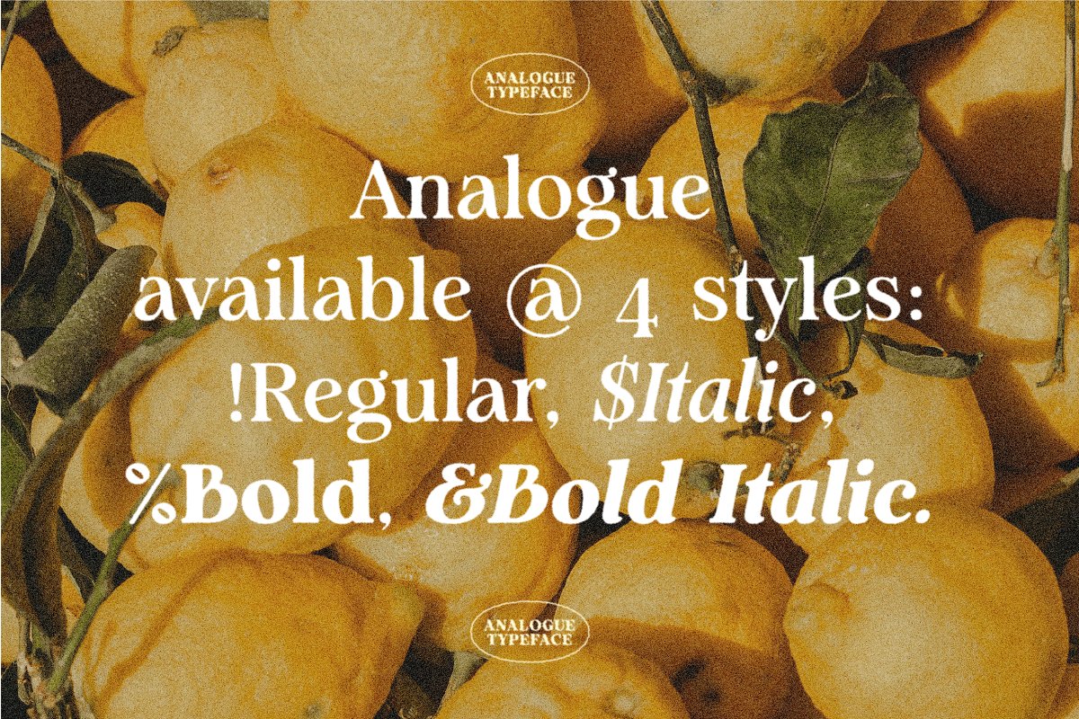 Analogue   Humanist Retro Serif Font Free Download