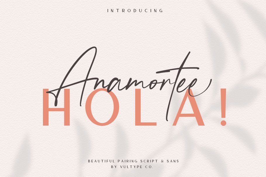 Anamortee    Modern Calligraphy Font Free Download