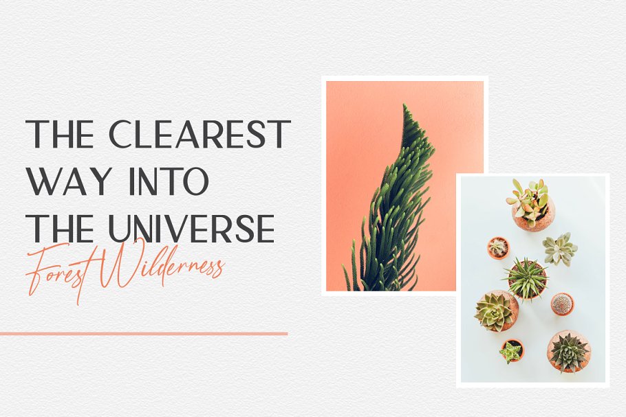 Anamortee    Modern Calligraphy Font Free Download