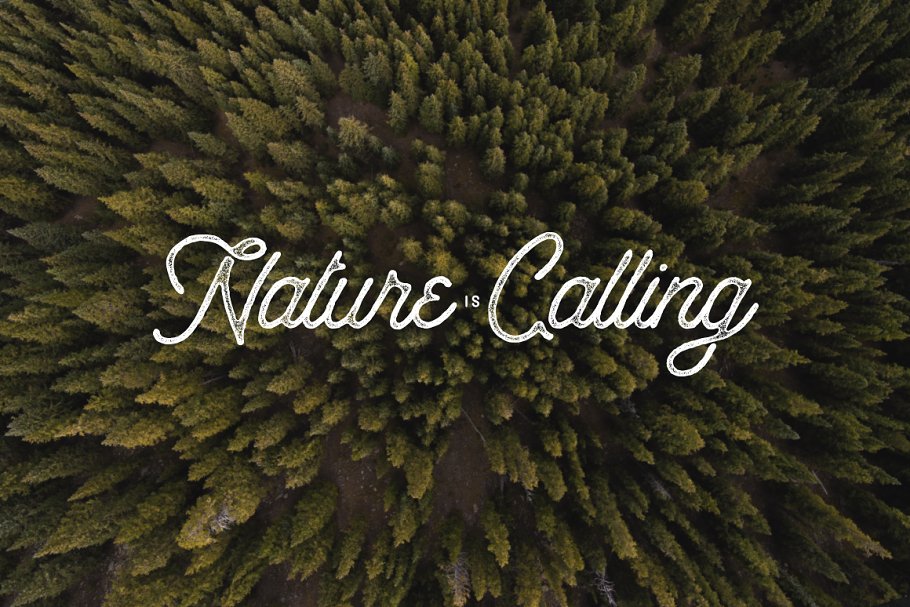 Anchorage Script Typeface Font