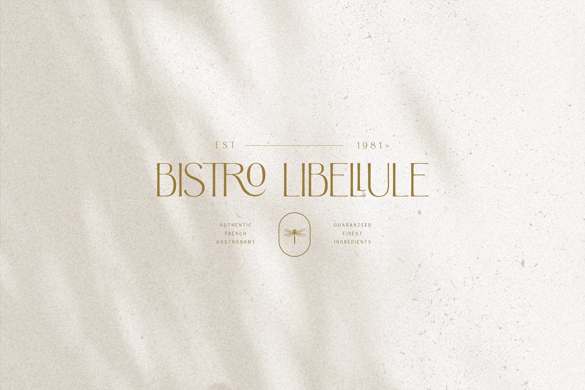 Argentine   Nostalgic Elegant Sans Font Free Download