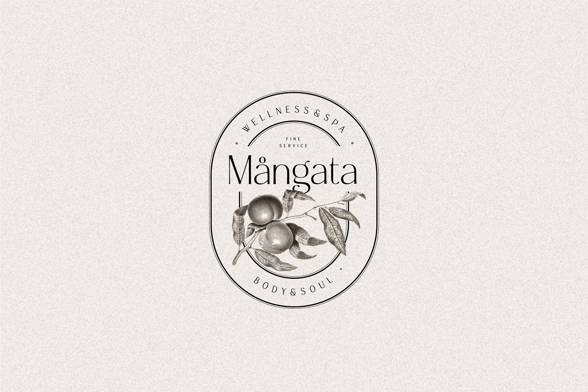 Argentine   Nostalgic Elegant Sans Font Free Download