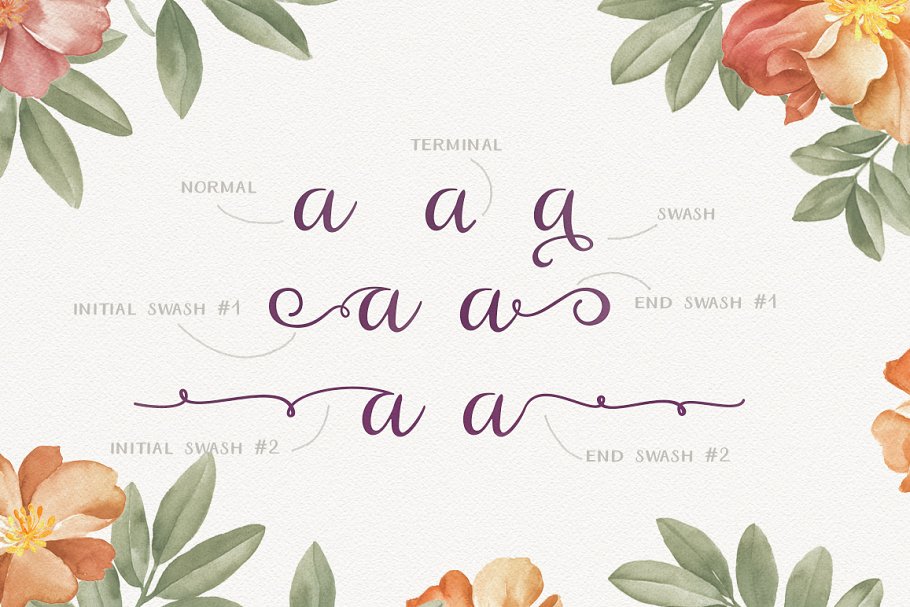 Ariadne Family Font