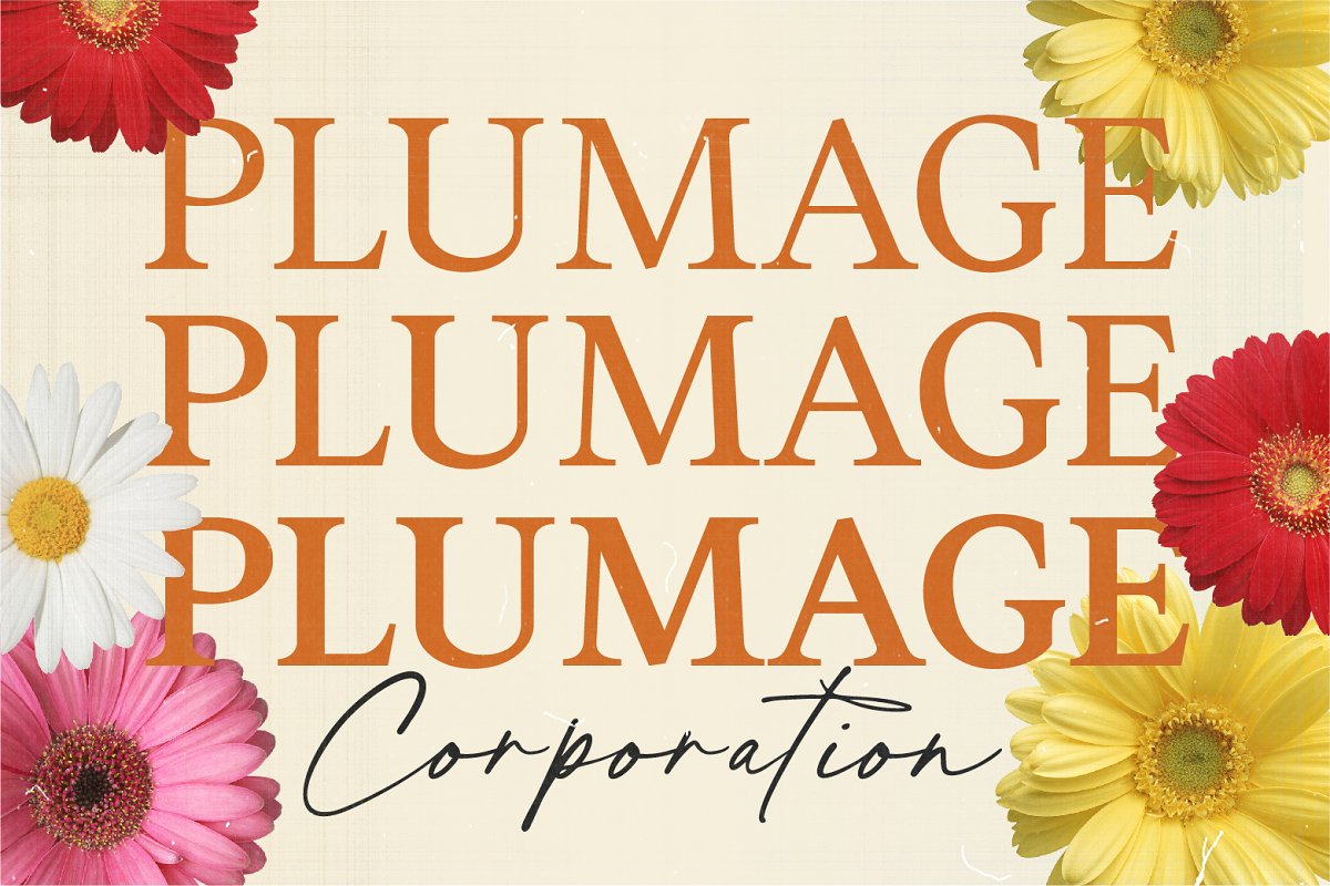 Ascendant | Font Duo Free Download