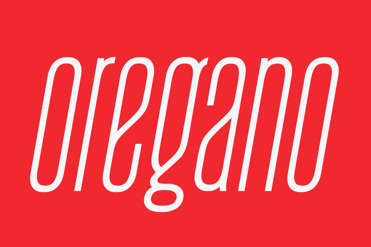 August Typeface Font