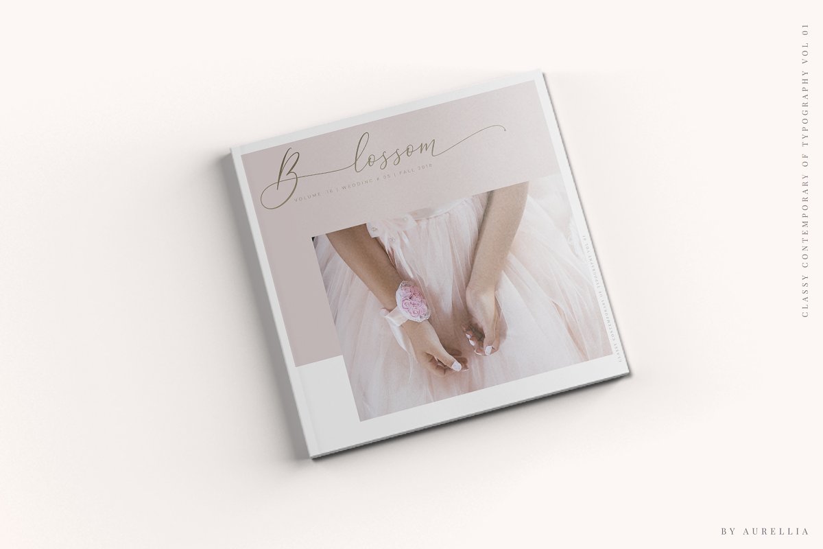 Aurellia Script Classy Font