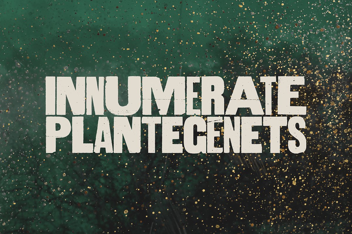 Aurochs letterpress type family Font