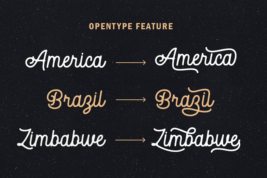 Autoguard Monoline Script Font Family Free Download Autoguard Monoline Script Font