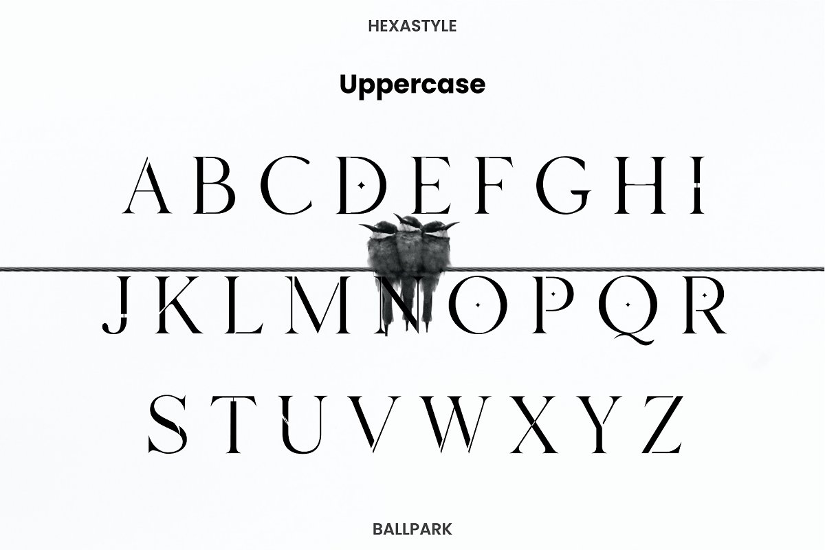 BALLPARK MODERN Font Family Free Download BALLPARK MODERN Font