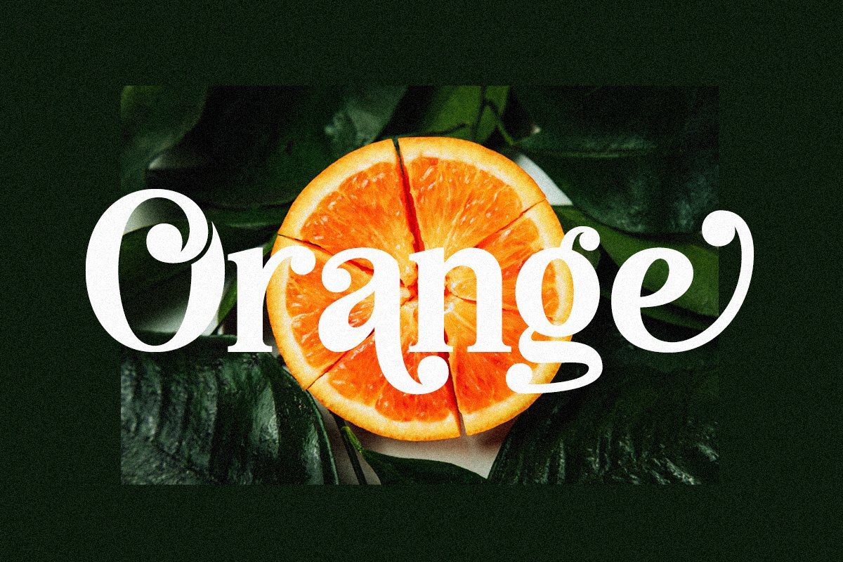 Backind Maldina Modern Font Family Free Download Backind Maldina Modern Font