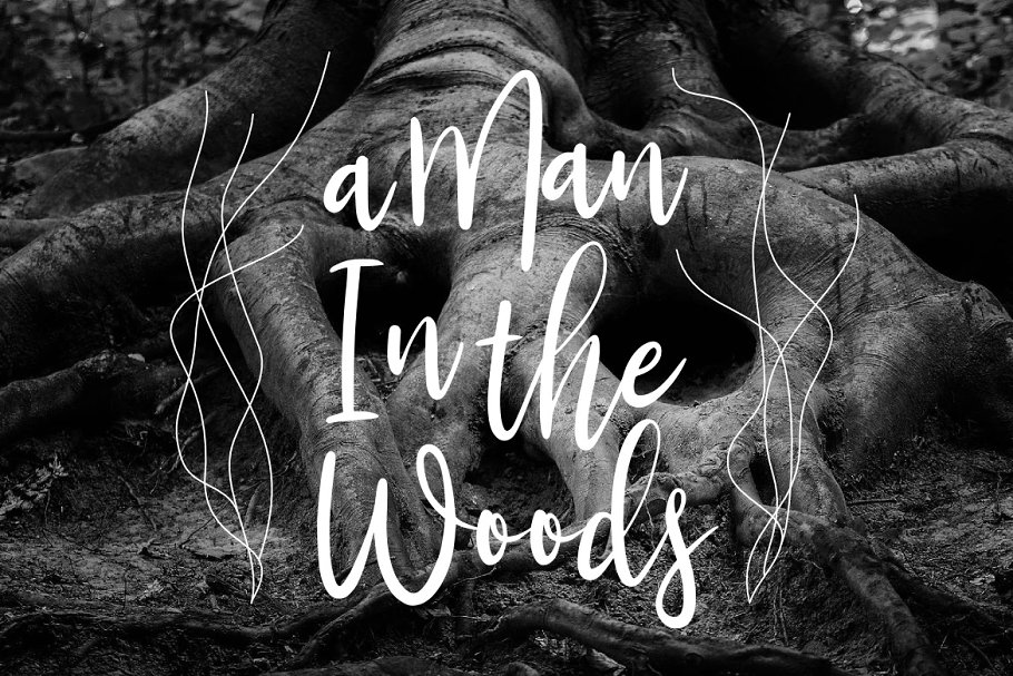 Bambi Font Free Download