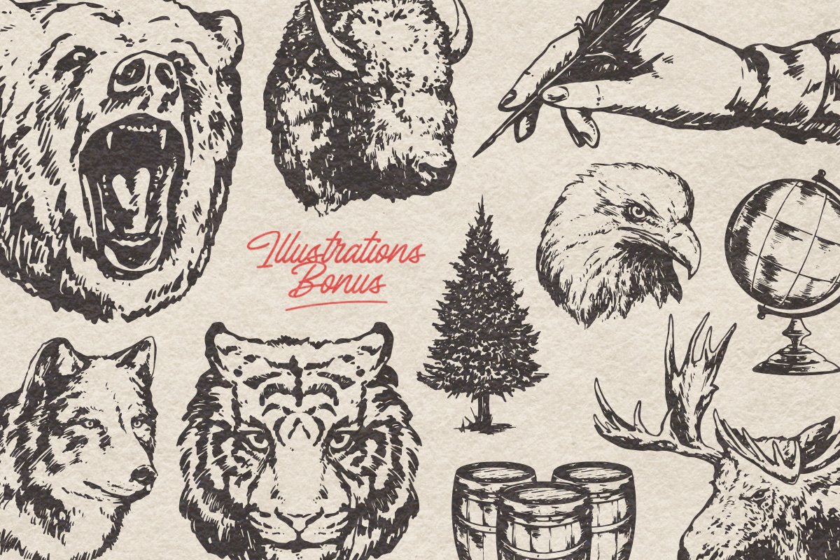 Bardian Monoline Script Font