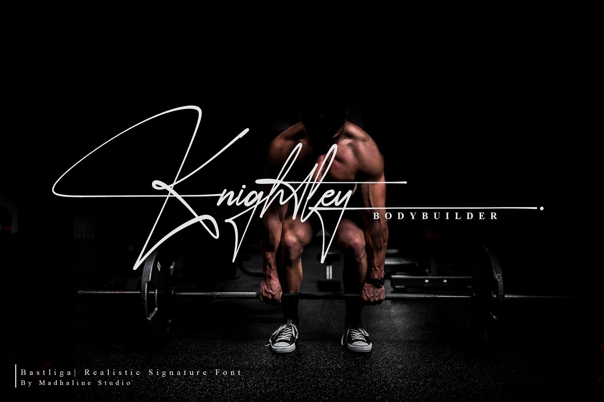 Bastliga 5 Realistic Signature Vol.1 Font Free Download