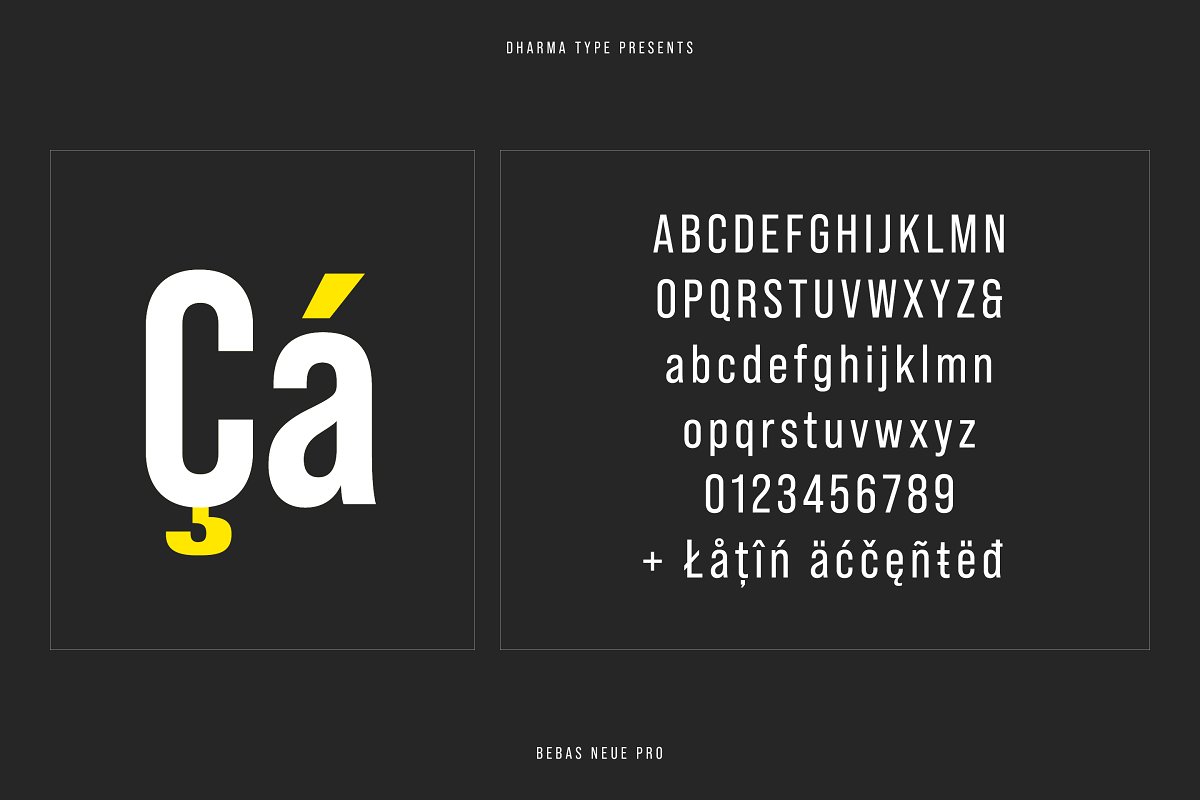 Bebas Neue Pro Normal Width Family Font