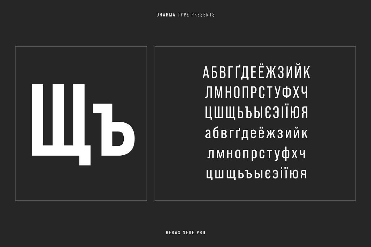 Bebas Neue Pro Normal Width Family Font