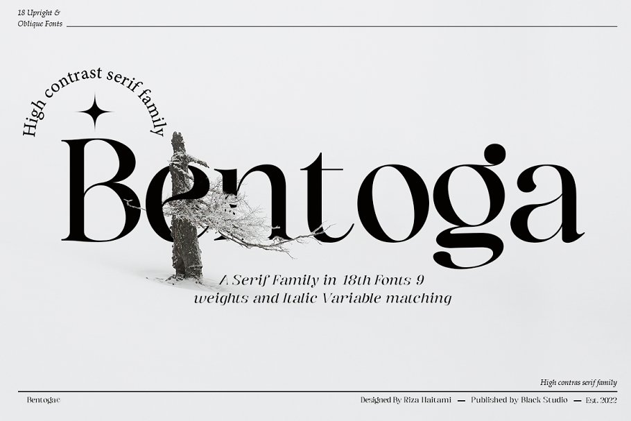 Bentoga Font