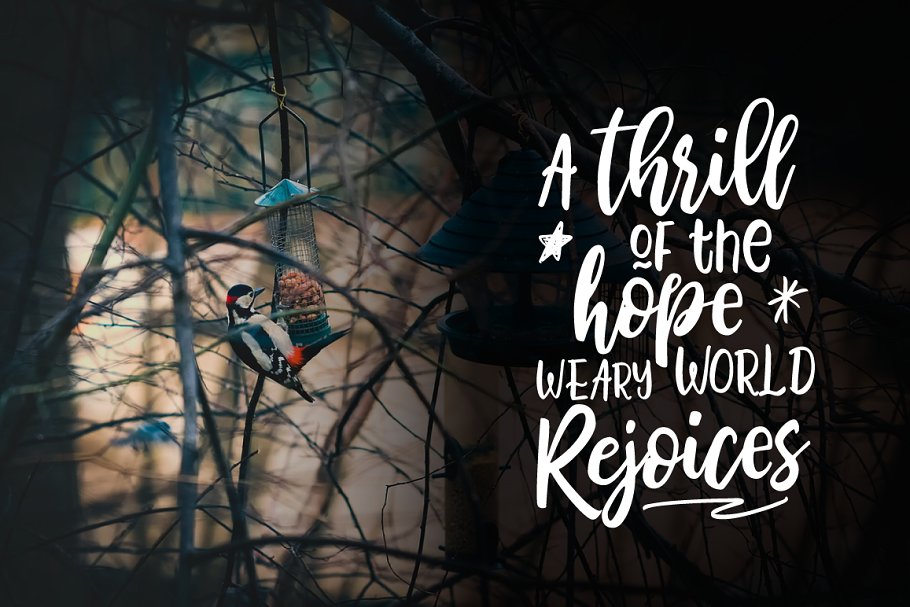 Bhatoshine Fancy Duo Font