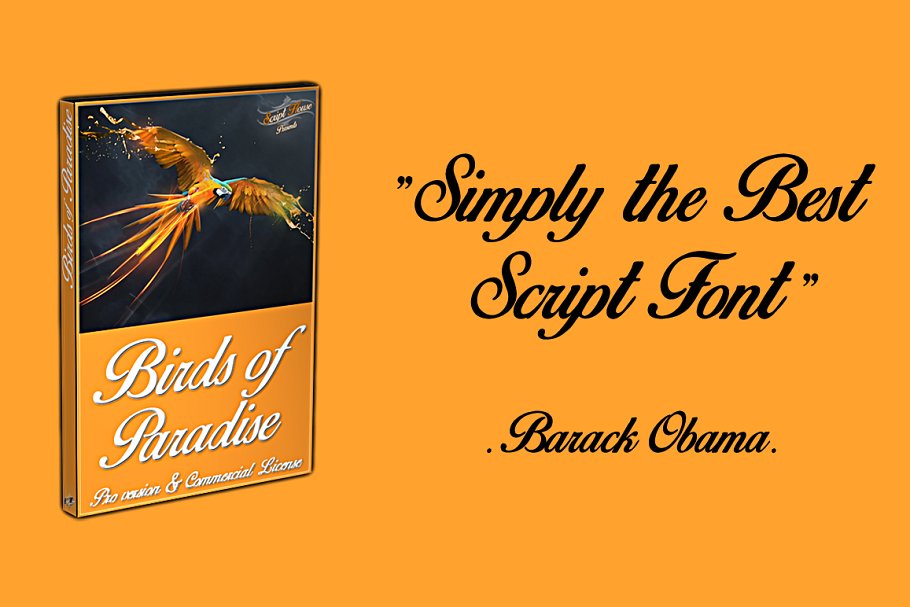 Birds of Paradise © Font Free Download