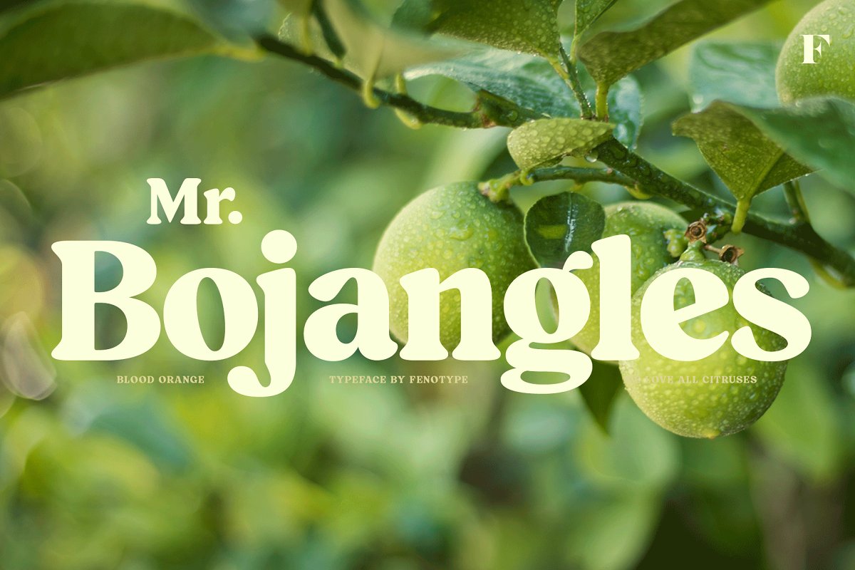 Blood Orange Vintage Serif Font Free Download