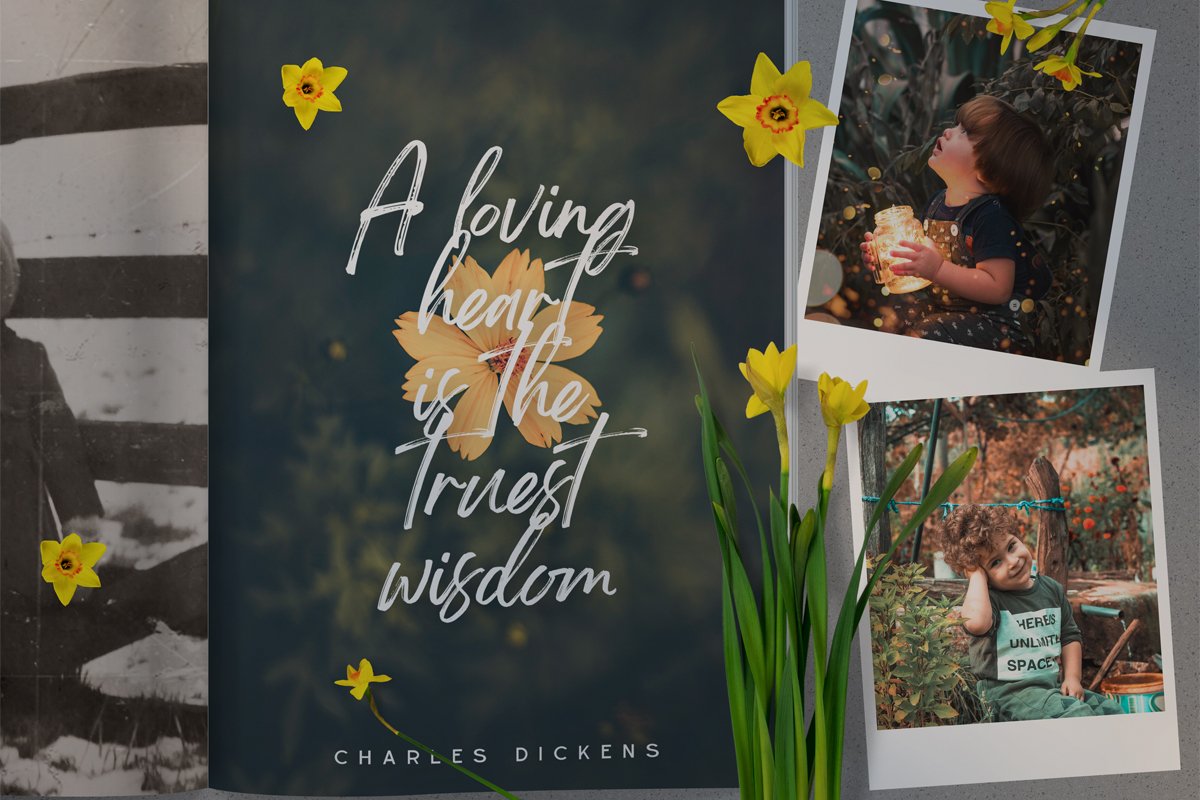 Brightwall Brush Script Font Free Download