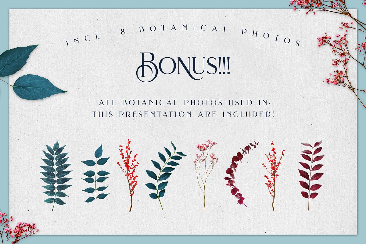 Brilon Font + Extras Free Download