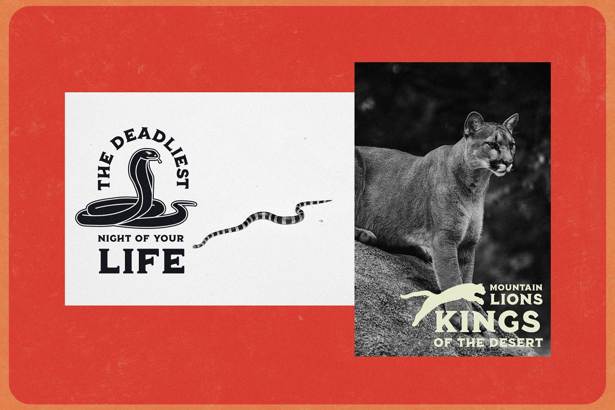 Bronco Collection Extras Font