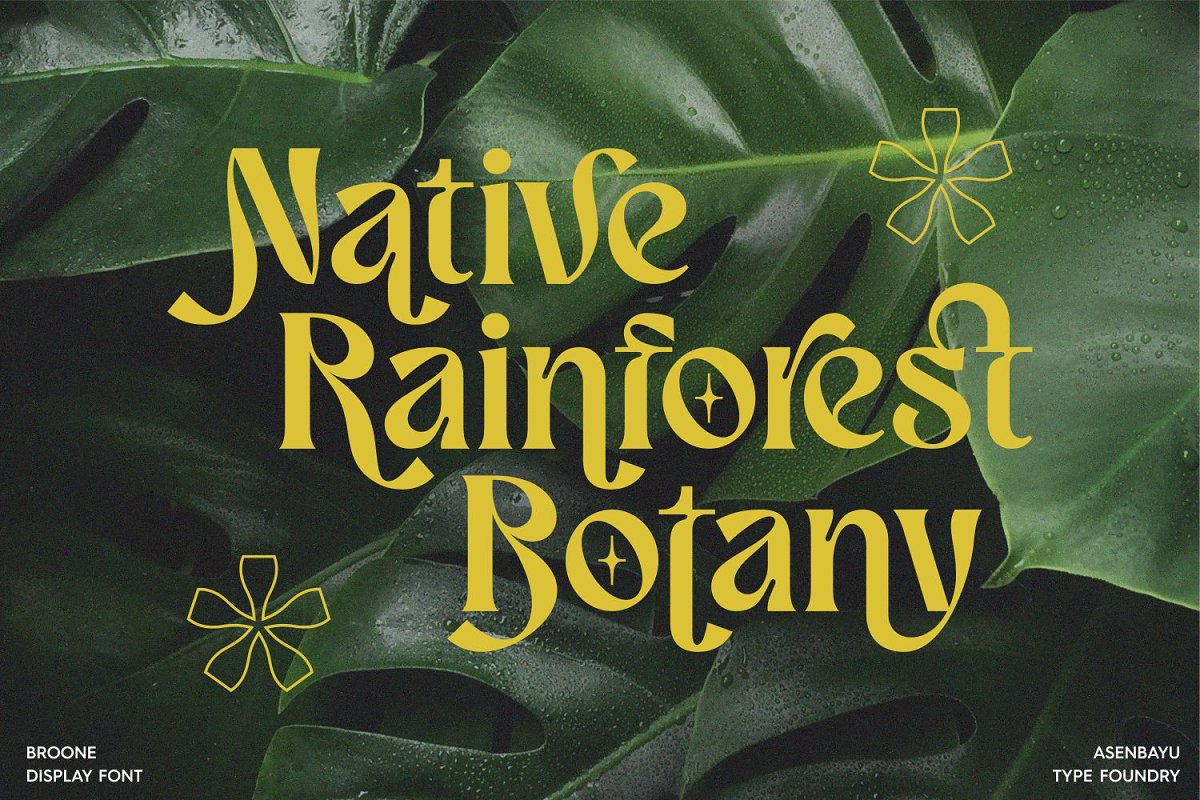 Broone Font Free Download