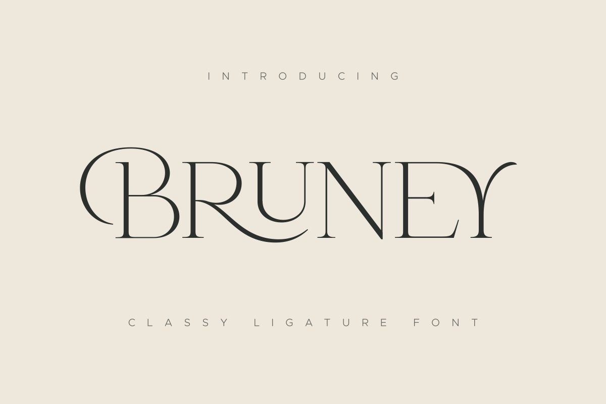 Bruney Classy Ligature Font Free Download
