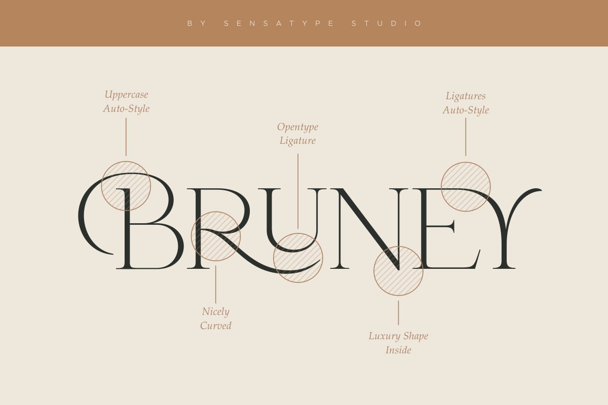 Bruney Classy Ligature Font Free Download