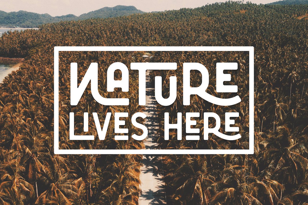 Caferio The Florest Typeface Font