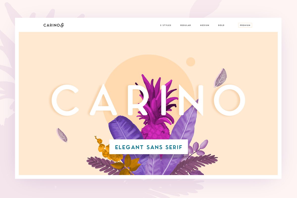 Carino A Modern Elegant Typeface Font