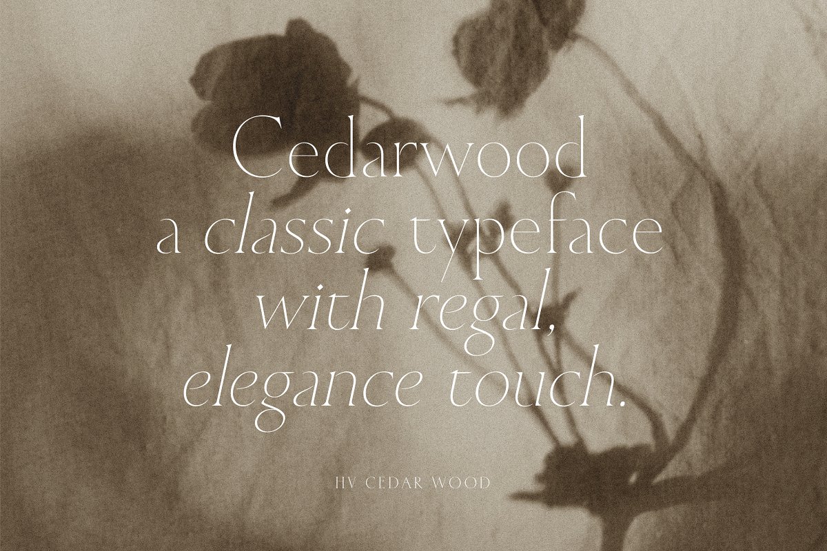 Cedarwood Classy Serif Font