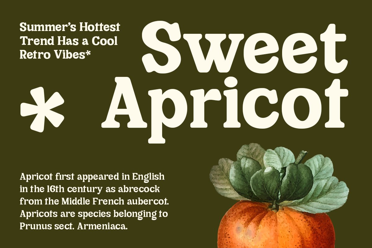 Cheria Humanist Retro Font