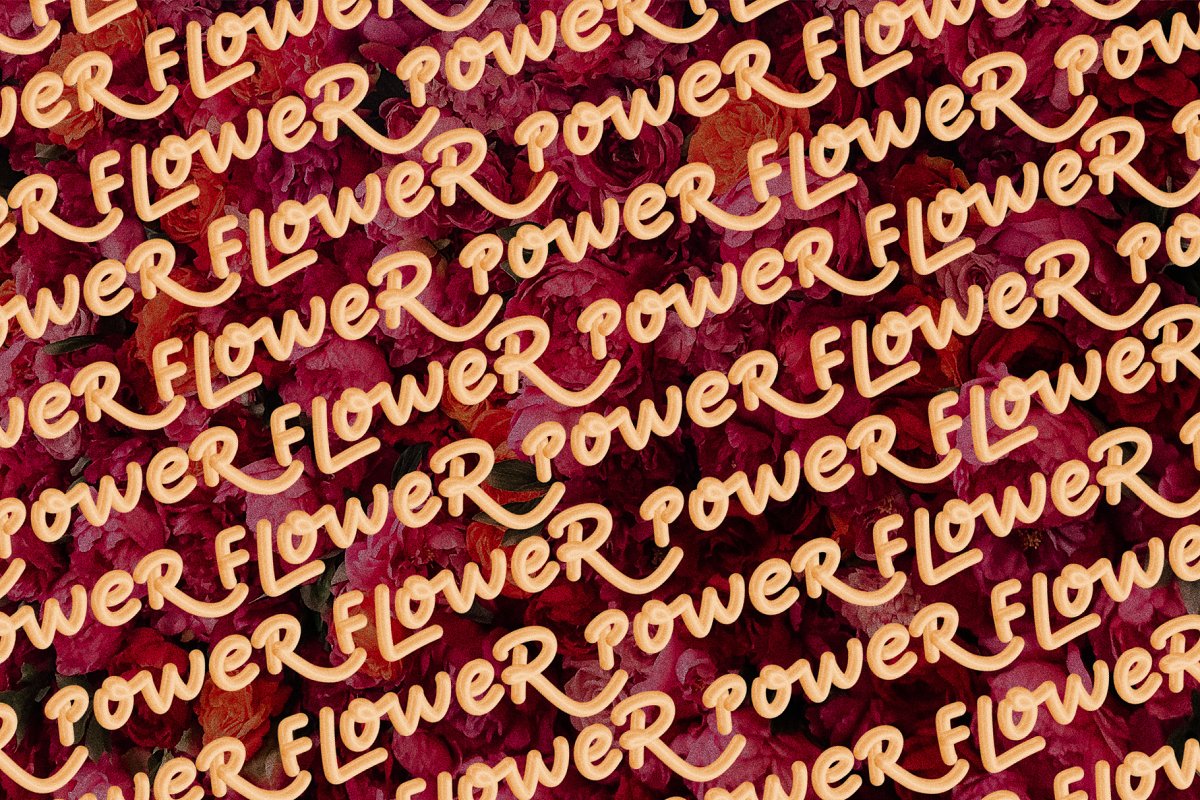 Cherry Thyme D SVG Typeface Font