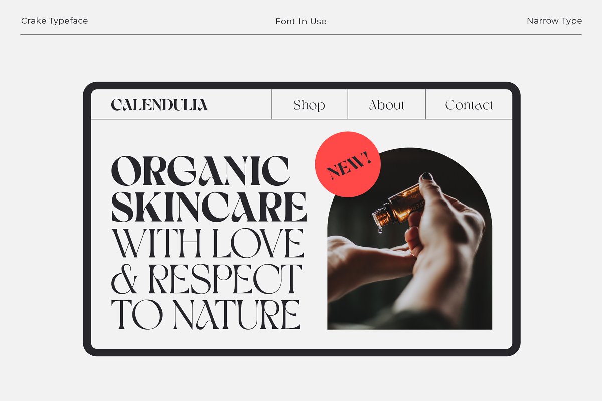 Crake Typeface | Modern Serif Font Free Download