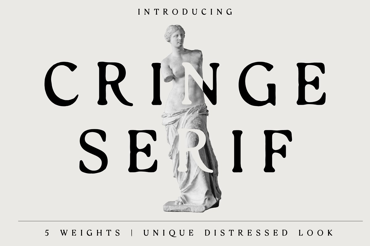 Cringe Serif Font Free Download