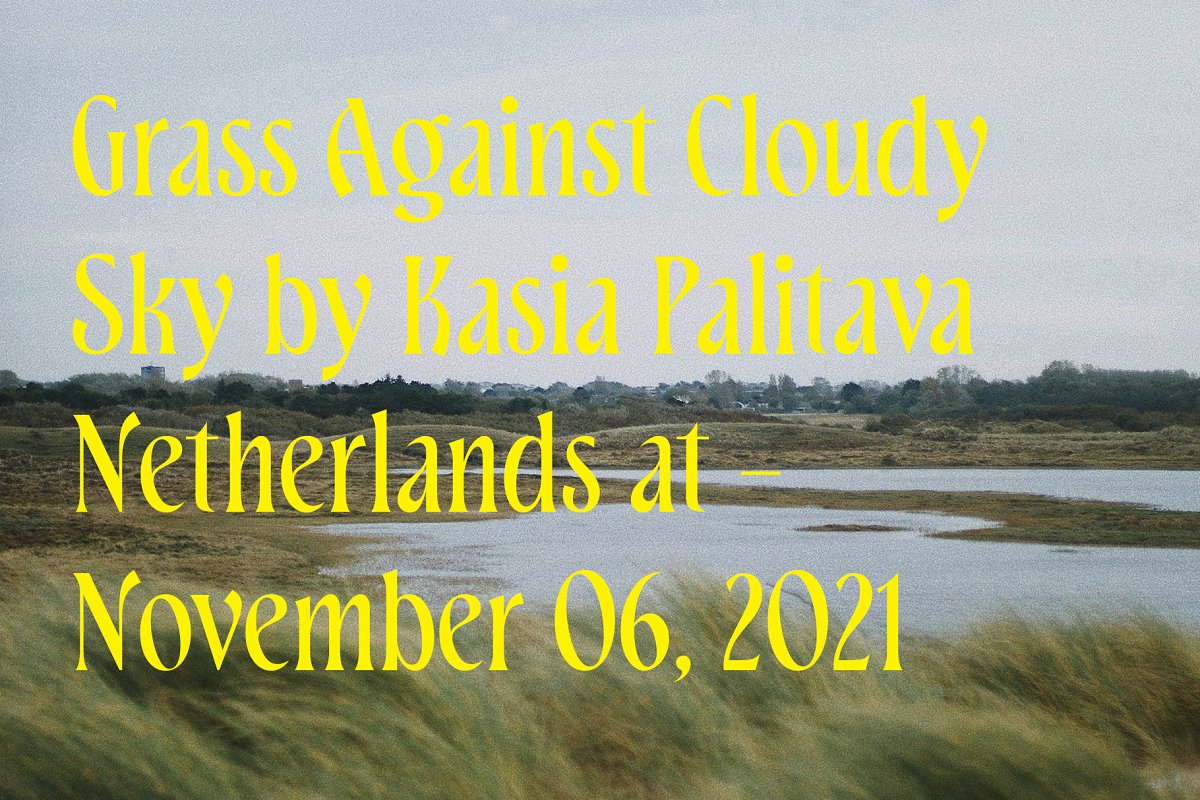 ED Bienova Display Serif Font