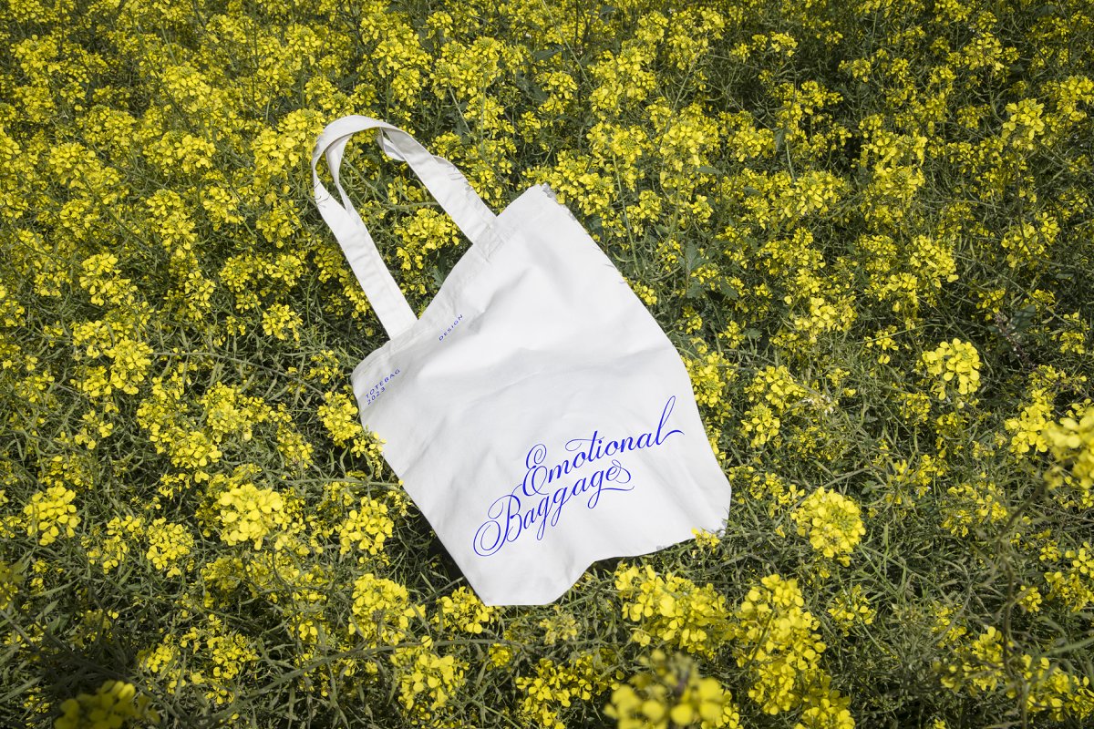 ED Drayton Classic script Font Free Download