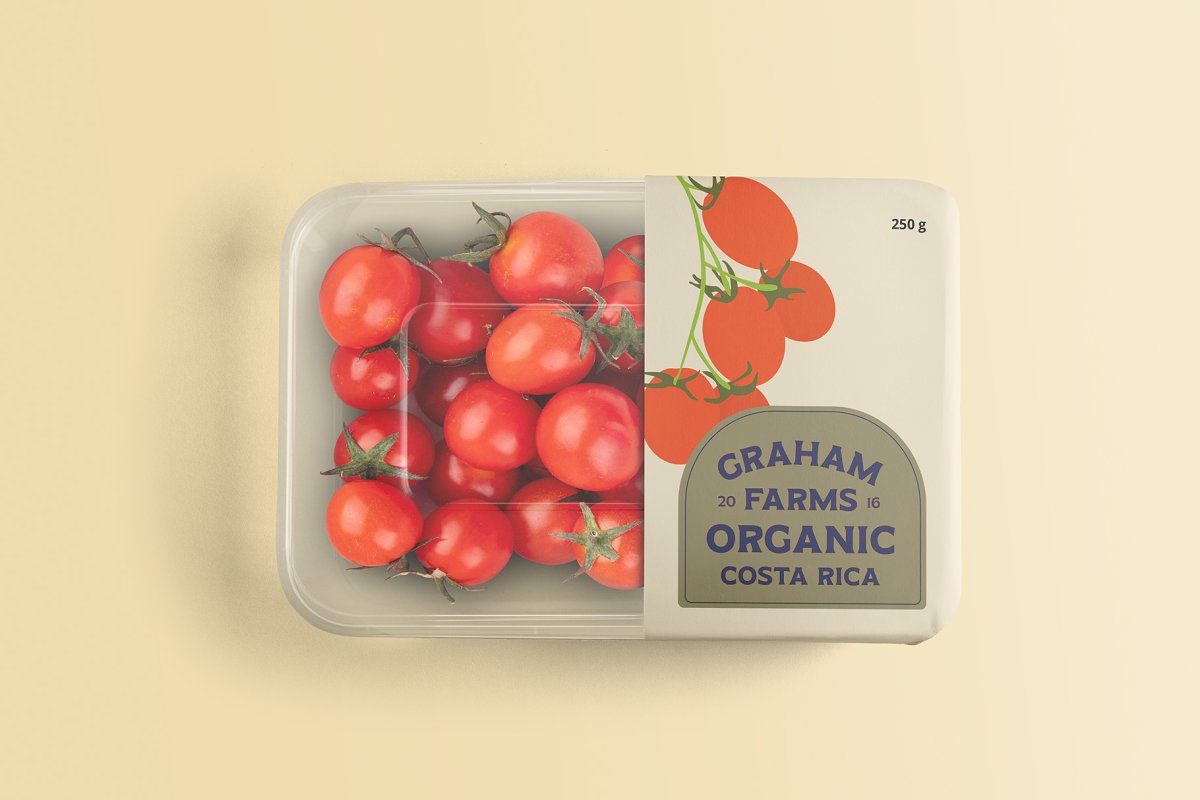 ED Pinehouse Vintage Serif Font Free Download