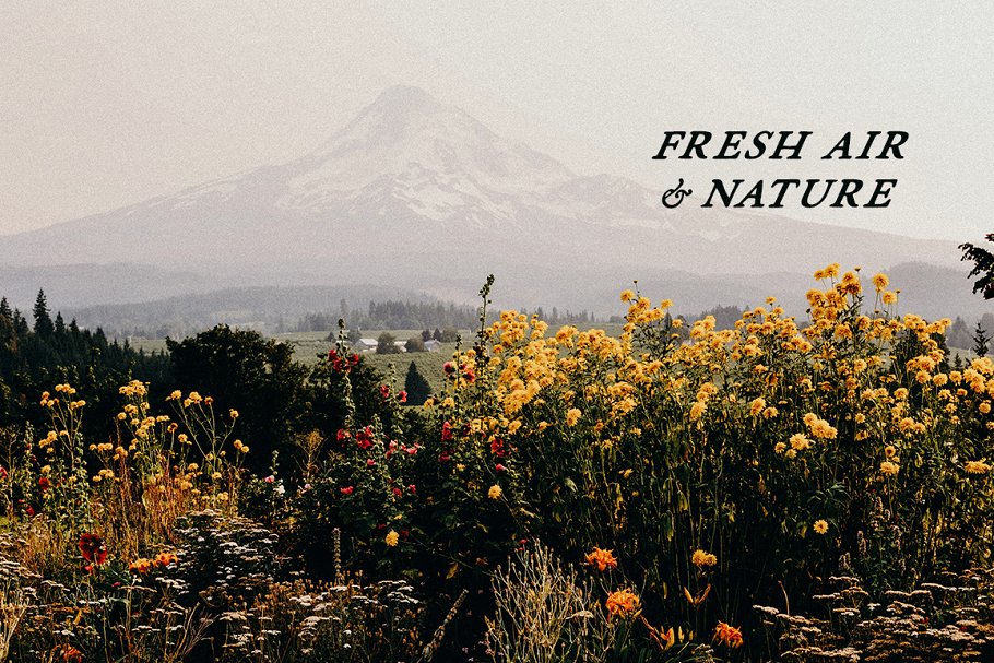 Fabello Family hand lettered Font