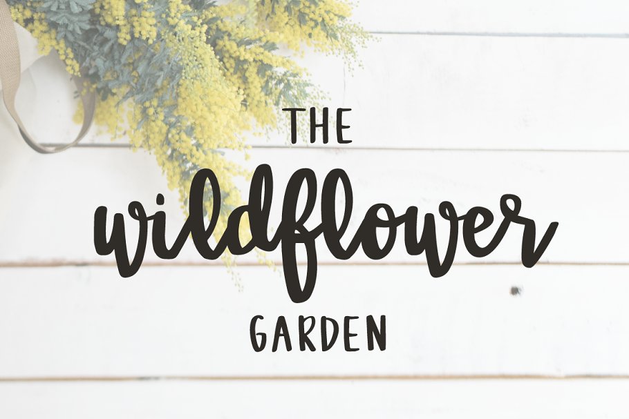 Farmhouse Dreams Script Font