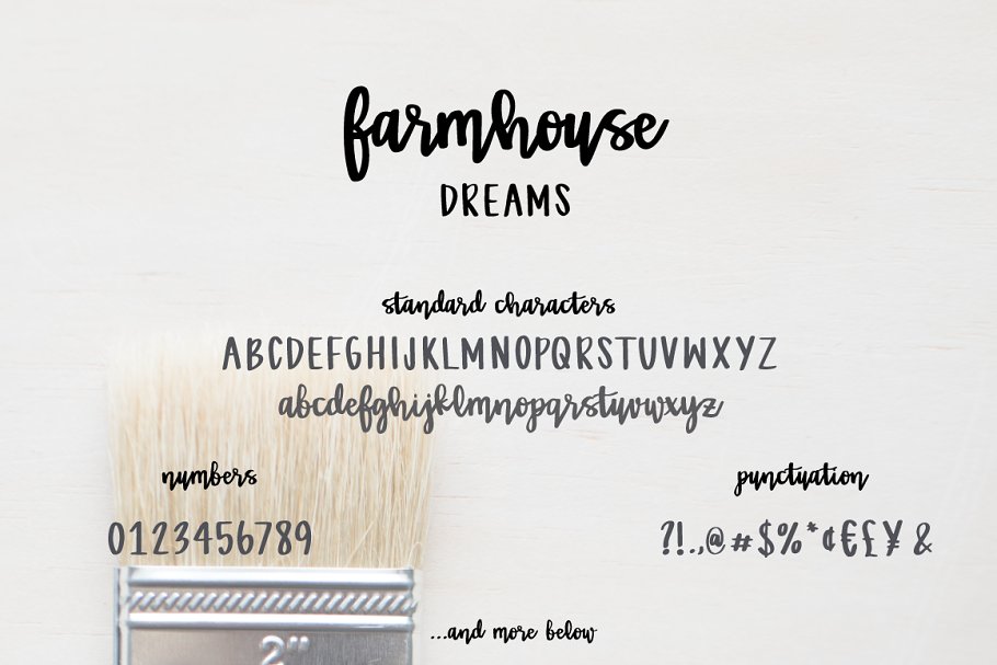 Farmhouse Dreams Script Font
