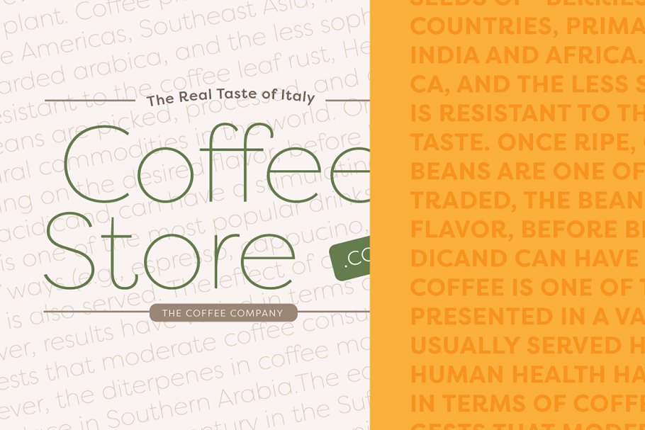 Filson Pro Font Family (16 fonts) Free Download