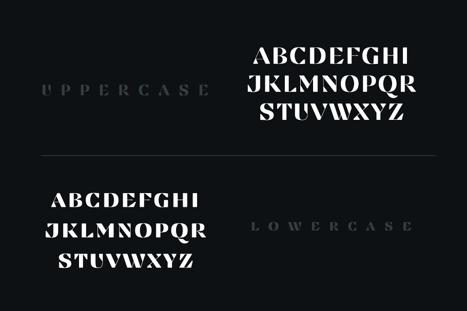 Findel Display Typeface Font Family Free Download Findel Display Typeface Font