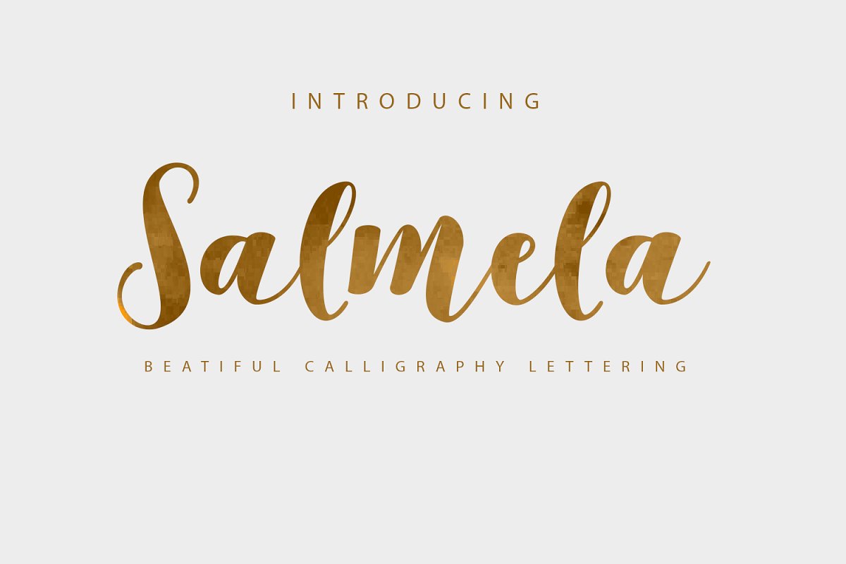 Bundle Caligraphy Font