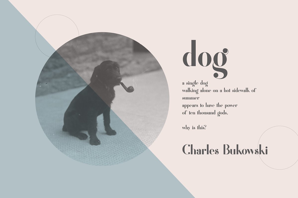 Fragile Collection Bundle Font